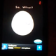 Image for article titled Tamago Egg App Is the App to End All Apps—and Your Life